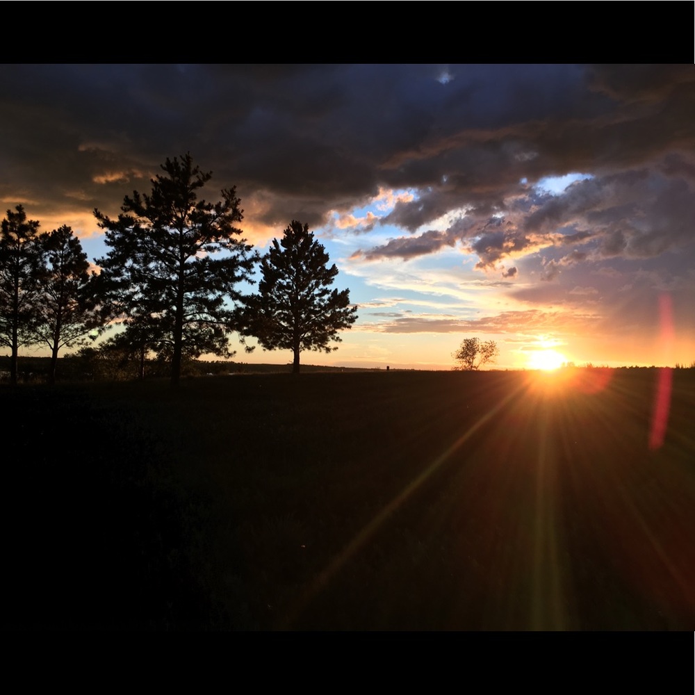 Meet your Posher, Kimberlee